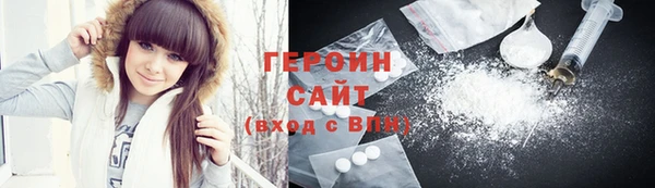 гашик Алексин