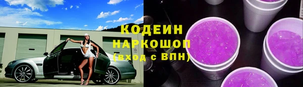 гашик Алексин