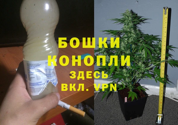 гашик Алексин