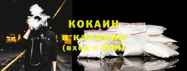 гашик Алексин