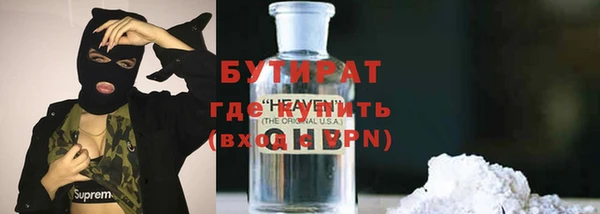 гашик Алексин