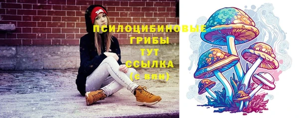 дмт Алексеевка