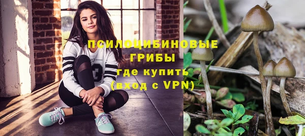 бутират Алзамай