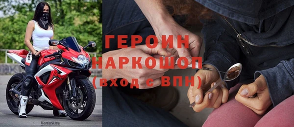 гашик Алексин