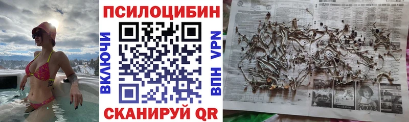 kraken как войти  Похвистнево  Псилоцибиновые грибы MAGIC MUSHROOMS 